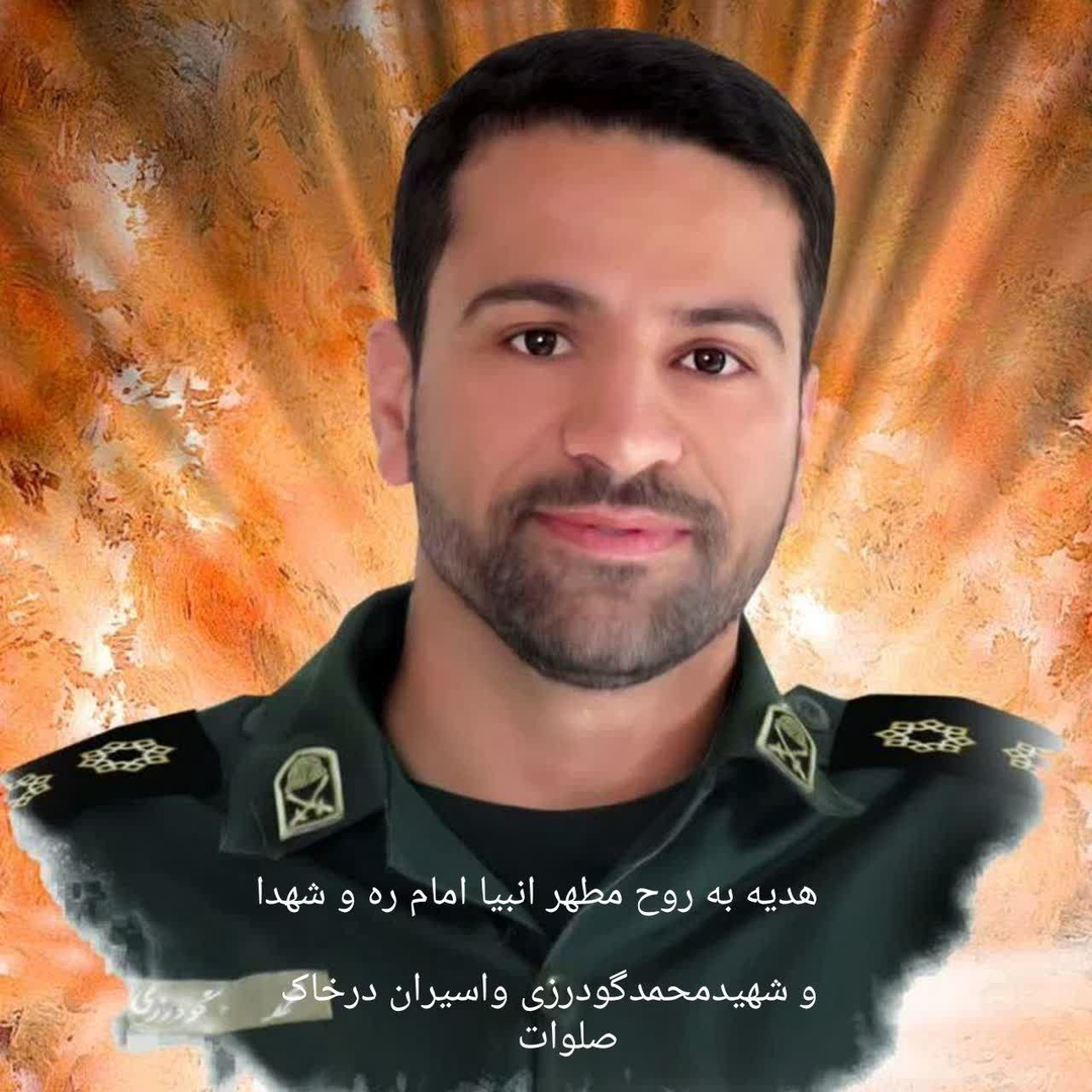 محمد گودرزی شهرکی
