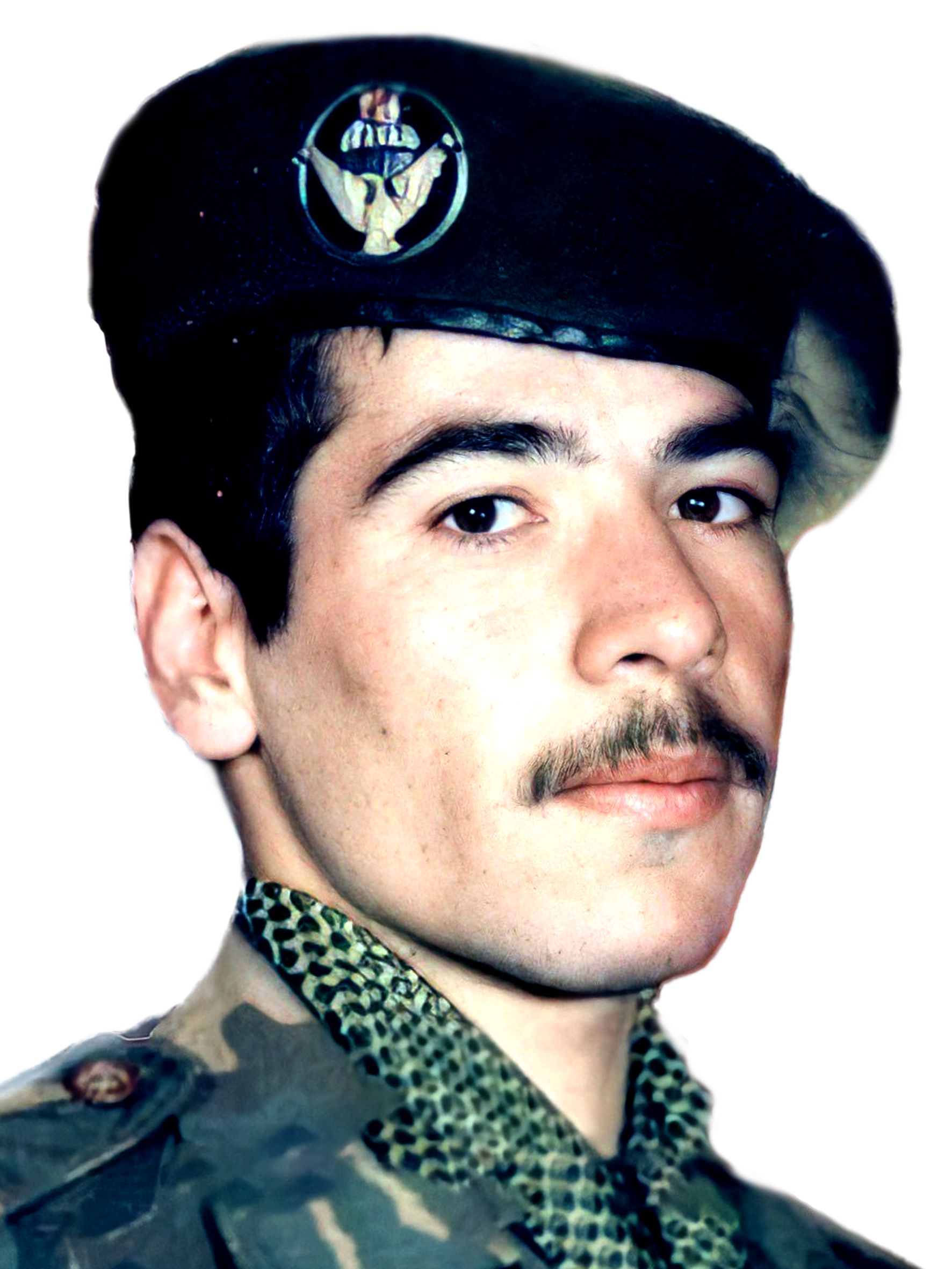 بهزاد شاهرخ شهرکی